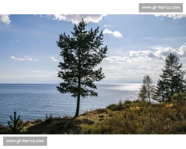 战火重燃时代全球格局裂变与文明未来走向何方的历史深度全景观察 战火重燃时代全球格局裂变与文明未来走向何方的历史深度全景观察